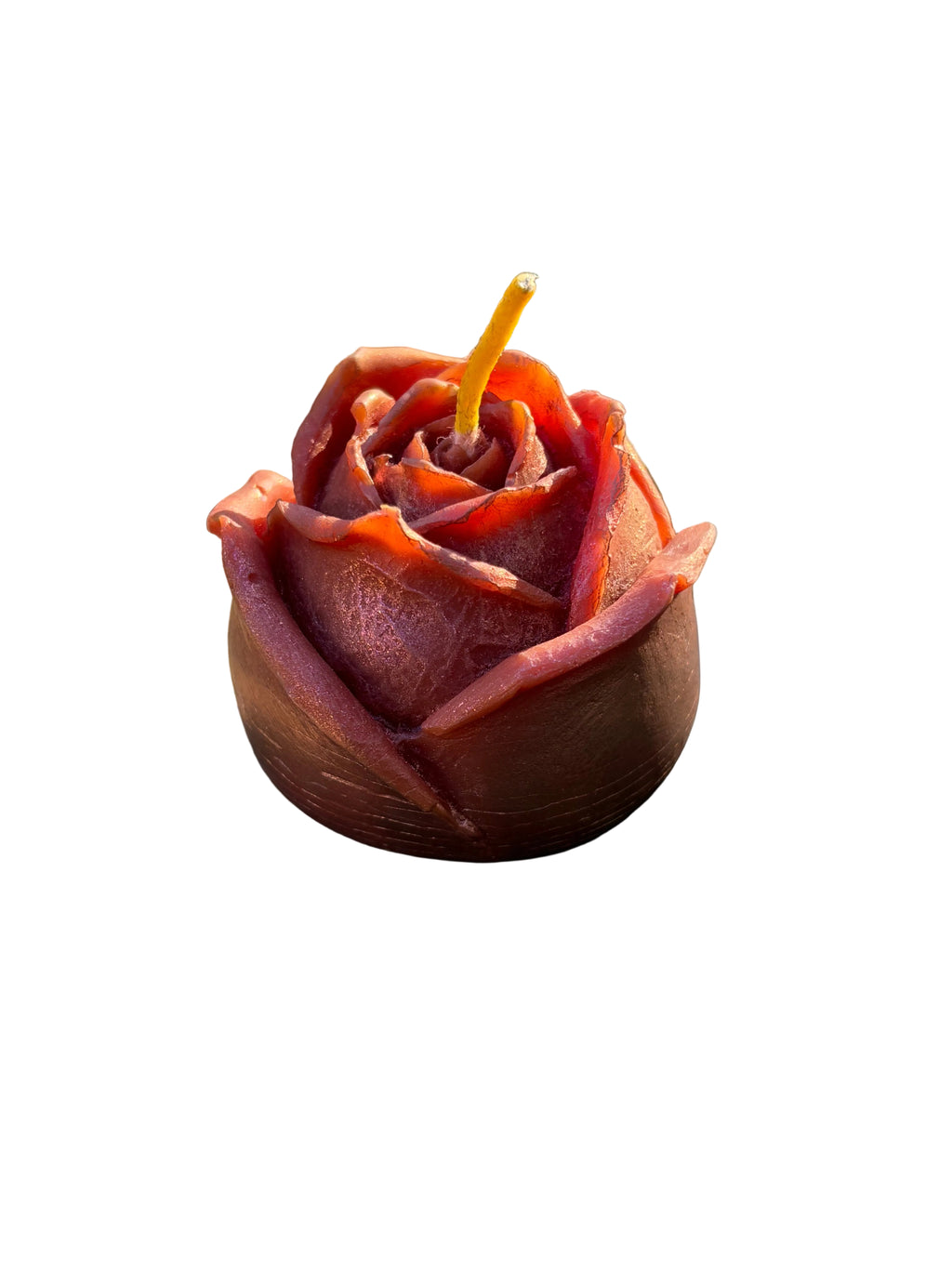 Rosenblüte