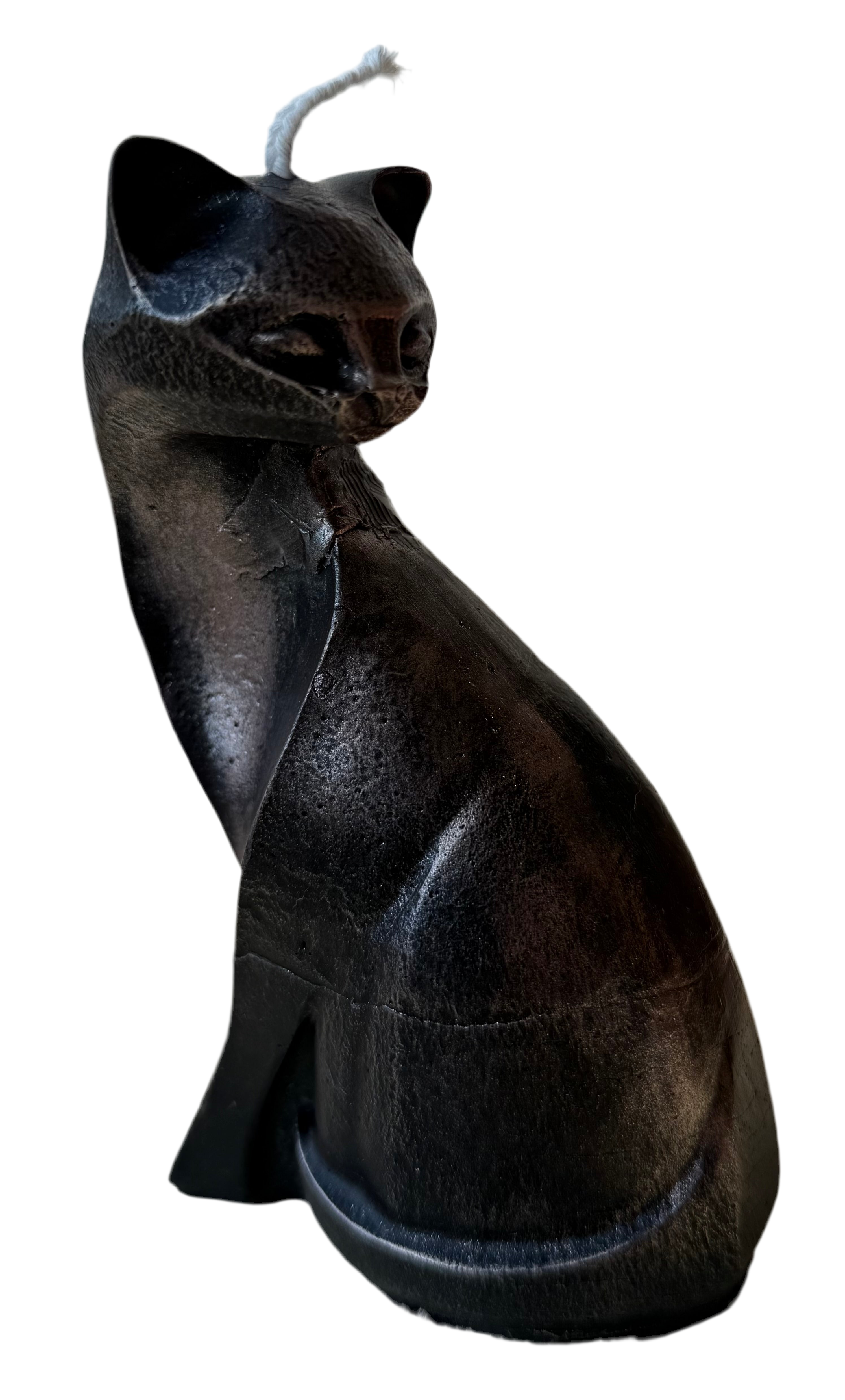 Mondkatze
