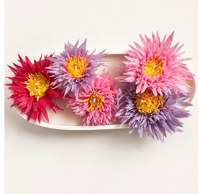 Aster Secret Garden