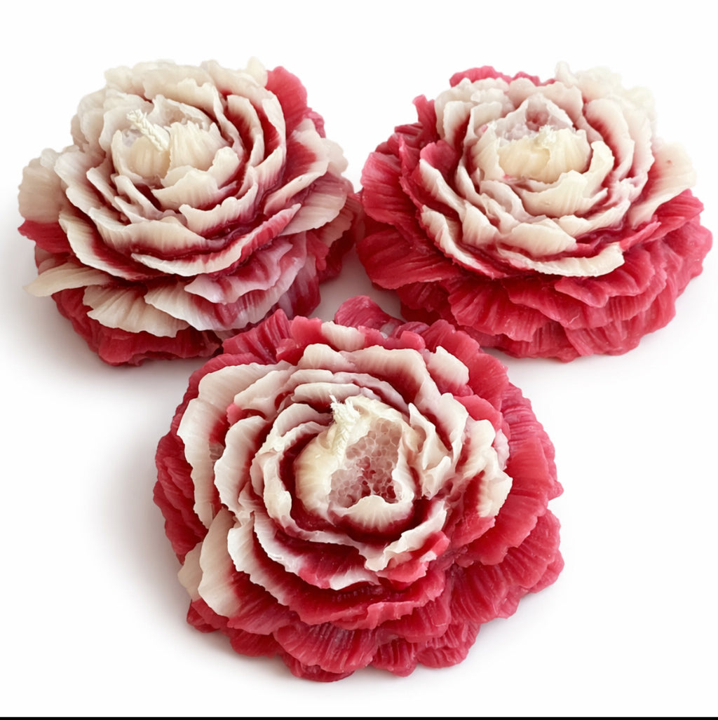 Koi Peony Trio