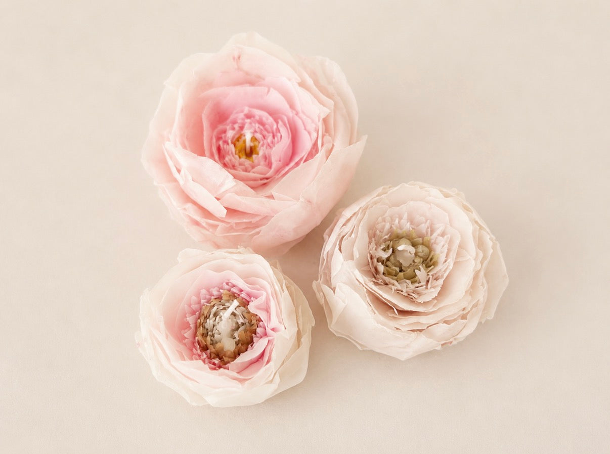 Pas de Trois Peonies Set