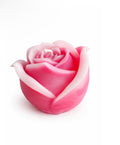 Große Rose