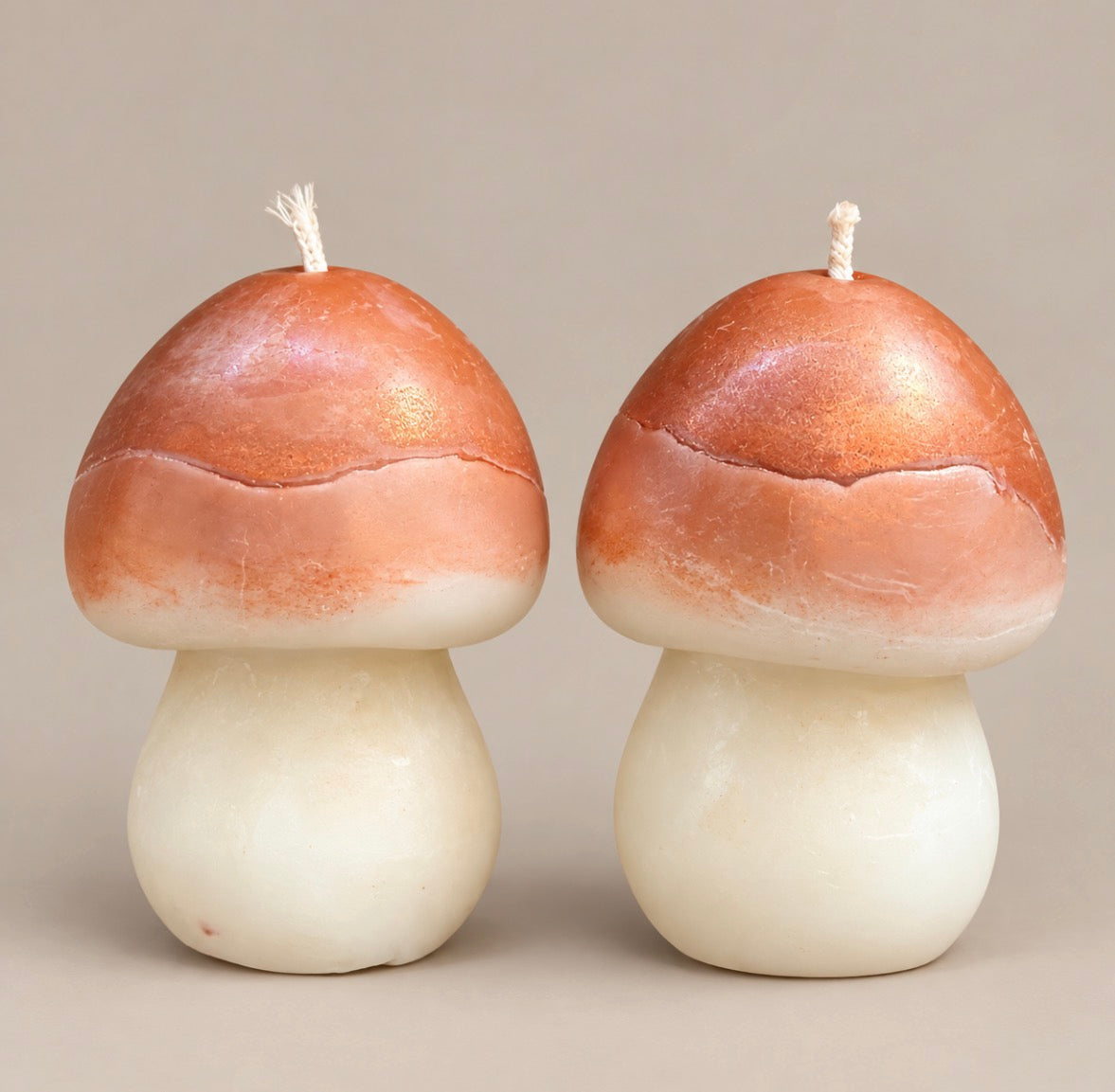 Brown Cup Mushroom