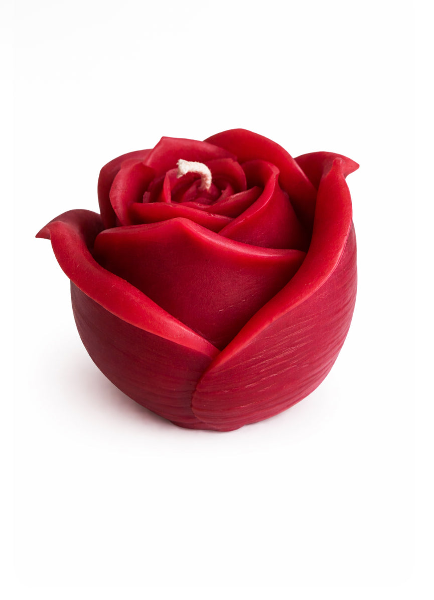 Große Rose