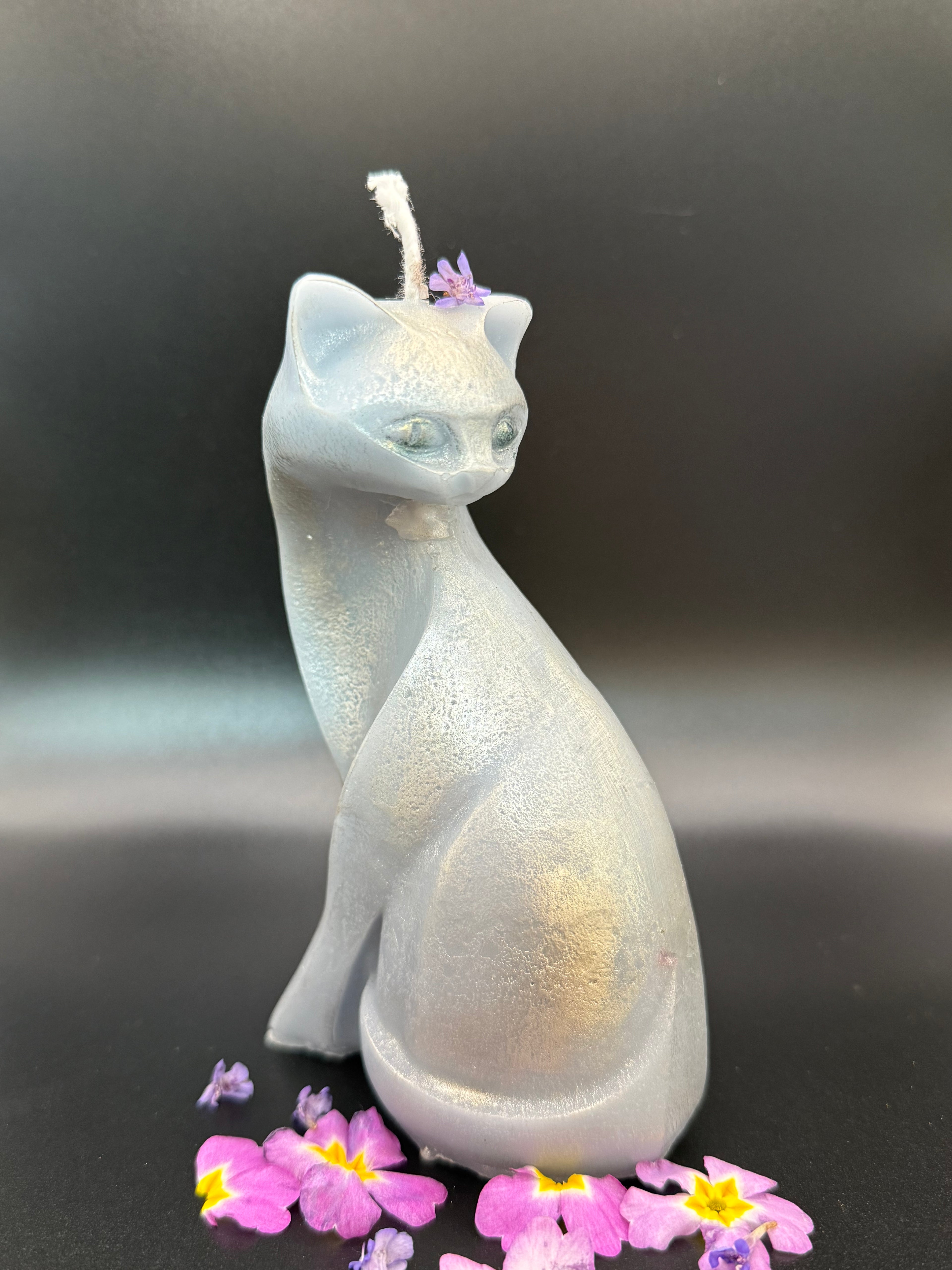Mondkatze