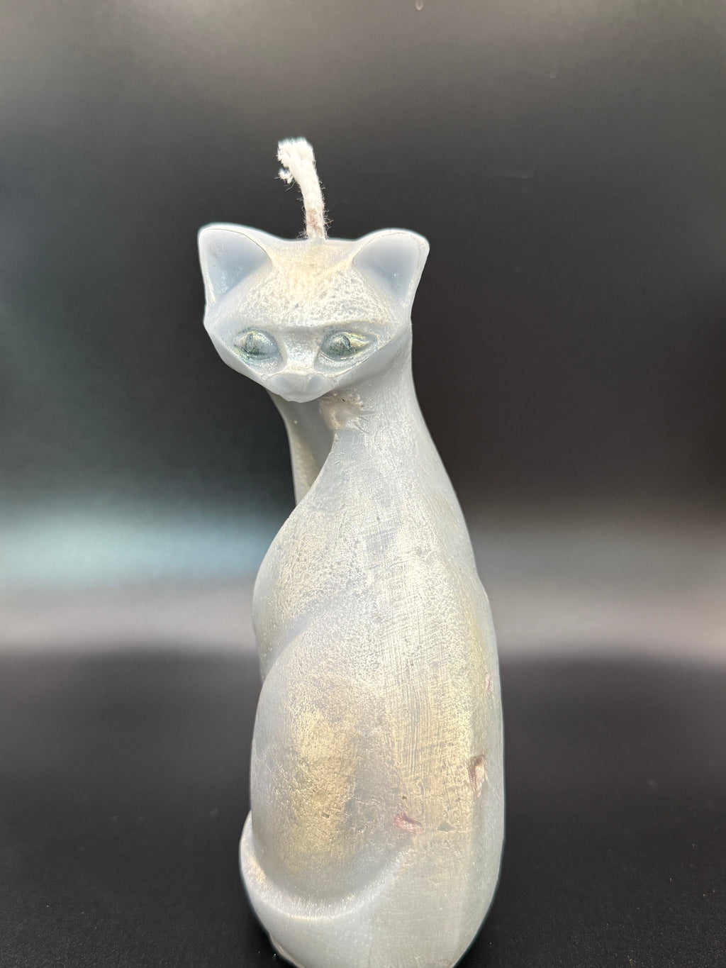 Mondkatze