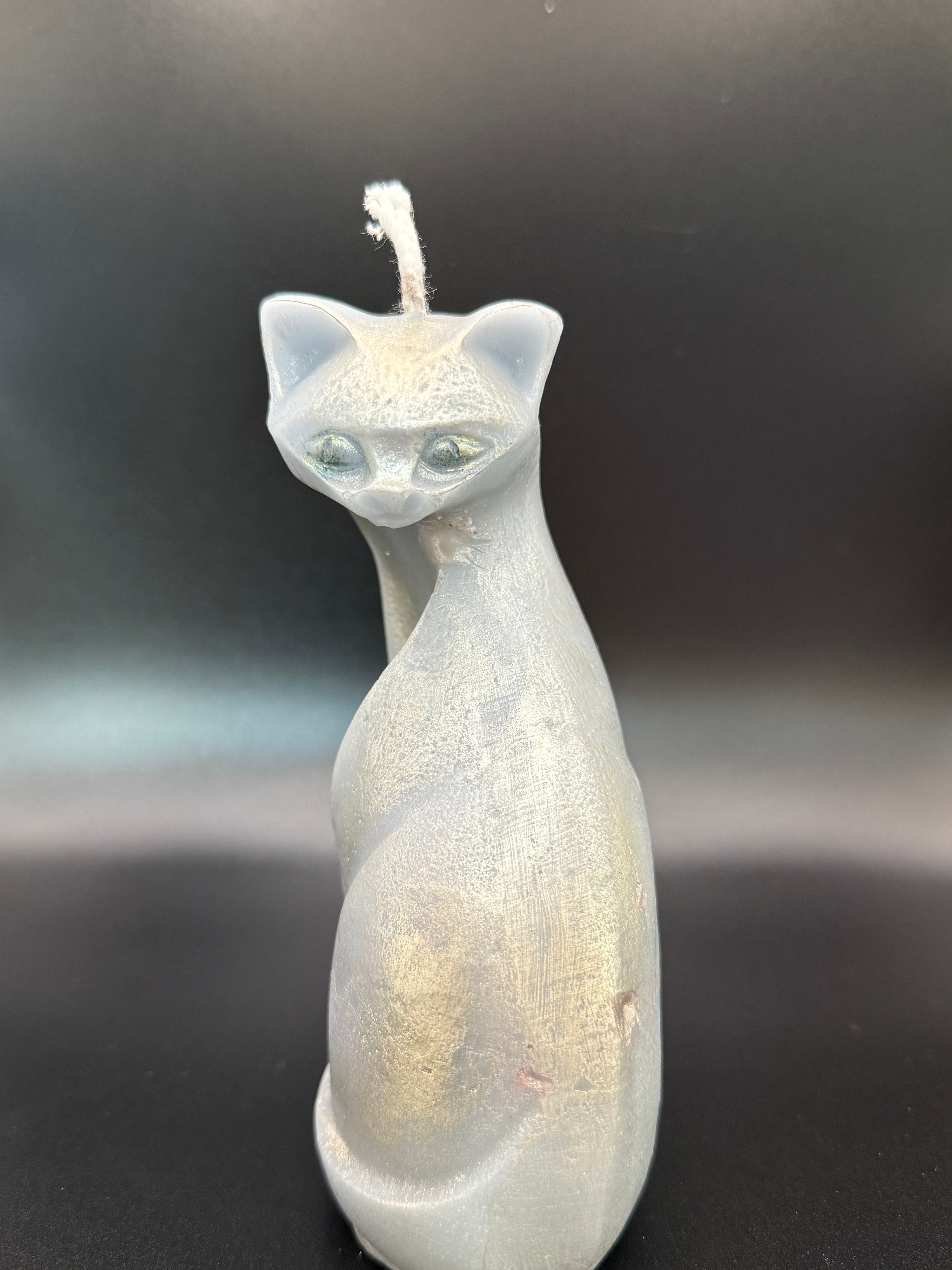 Mondkatze