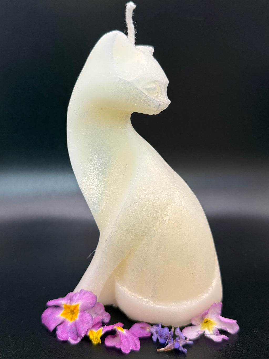 Mondkatze