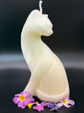 Mondkatze