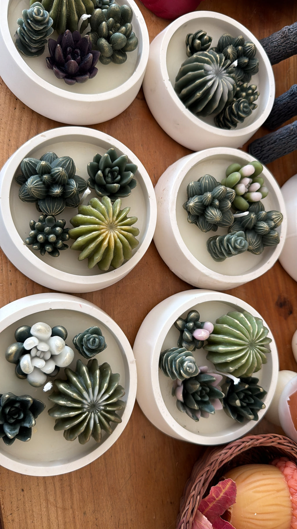 Cactus Zen Garden